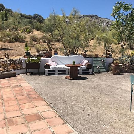 Cortijo Nuevo Alojamiento Rural Cuevas del Becerro Luaran gambar