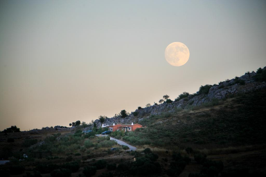 Cortijo Nuevo Alojamiento Rural Cuevas del Becerro Luaran gambar
